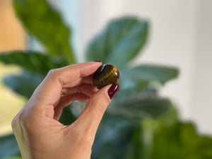 The Power Duo Lapis Lazuli and Tigers Eye Healing Crystal Set for Balance and Protection