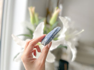 Selenite Plate & Blue Kyanite Crystal Set : Amplify Your Intuition and Energize Your Space