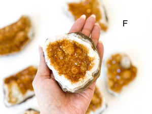 Raw Honey Citrine Druze Cluster: Natural Crystal Collection