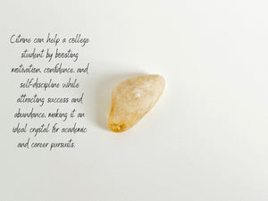 Crystal Set for College Success: Black Tourmaline, Citrine, Clear Quartz, Fluorite, and Amethyst