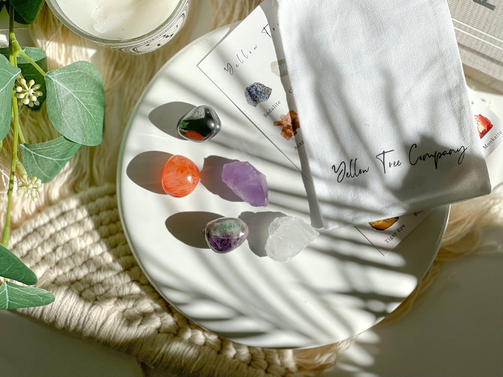 Focus Crystal Set: Fluorite, Hematite, Carnelian, Quartz, Amethyst