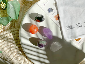 Focus Crystal Set: Fluorite, Hematite, Carnelian, Quartz, Amethyst