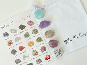 Calming Crystal Set: Amethyst, Howlite, Quartz - Stress Relief