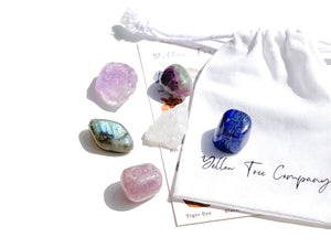 Pisces Crystals with a Selenite Charging Plate - Enhance Pisces Vibes, Spiritual Connection and Emotional Balance