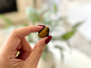 Tiger Eye Heart Crystal: Polished Pocket Stone for Courage