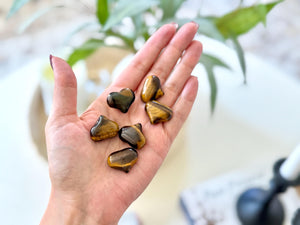 Tiger Eye Heart Crystal: Polished Pocket Stone for Courage