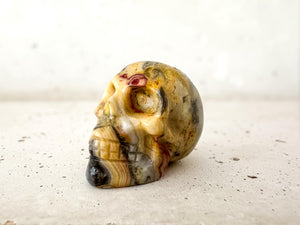 Crazy Lace Agate Skull | 2 Inch Crystal Carving for Joy, Focus & Inner Strength