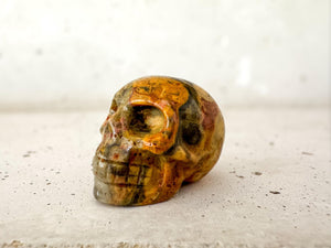 Crazy Lace Agate Skull | 2 Inch Crystal Carving for Joy, Focus & Inner Strength