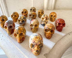 Crazy Lace Agate Skull | 2 Inch Crystal Carving for Joy, Focus & Inner Strength