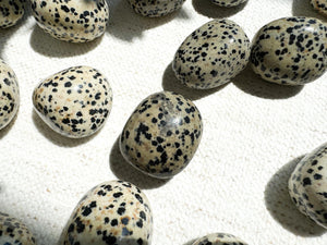 Dalmatian Jasper Tumble Stones: Grounding, Healing, and Anxiety Relief