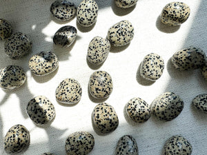 Dalmatian Jasper Tumble Stones: Grounding, Healing, and Anxiety Relief