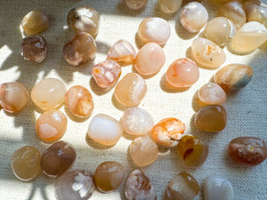 Flower Agate Tumbled Stones: Emotional Healing, Root & Heart Chakra