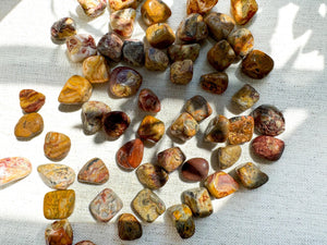 Crazy Lace Agate Tumbled Stone: Mexican Agate for Joy & Chakra Balance