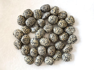 Dalmatian Jasper Tumble Stones: Grounding, Healing, and Anxiety Relief