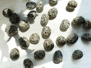 Dalmatian Jasper Tumble Stones: Grounding, Healing, and Anxiety Relief
