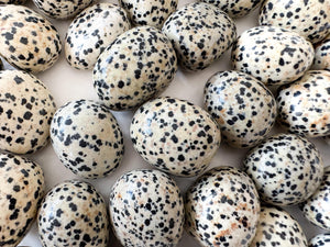 Dalmatian Jasper Tumble Stones: Grounding, Healing, and Anxiety Relief