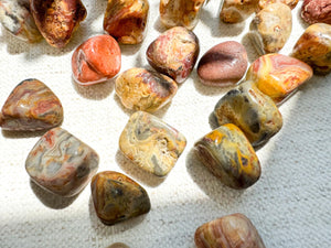 Crazy Lace Agate Tumbled Stone: Mexican Agate for Joy & Chakra Balance