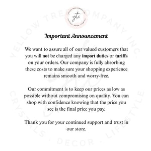 Citrine Double Terminated Crystal Point: Abundance Stone