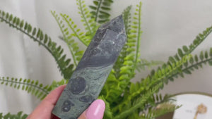 Kambaba Jasper Crystal Tower: Crocodile Jasper Point