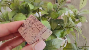 Moroccan Picture Jasper Cube: Atlas Mountain Crystal Decor, Root Chakra Stone