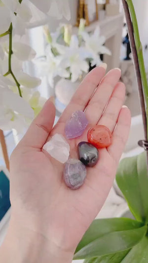 Focus Crystal Set: Fluorite, Hematite, Carnelian, Quartz, Amethyst