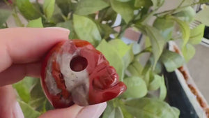 Red Jasper Skull | 2 Inch Crystal Carving for Strength, Grounding & Protection