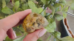 Crazy Lace Agate Skull | 2 Inch Crystal Carving for Joy, Focus & Inner Strength