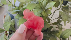 Strawberry Quartz Elephant | 2 Inch Crystal Carving for Love, Joy & Emotional Healing