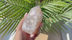 Glistening Angel Aura Rose Quartz Points. Enhance Love, Harmony, and Positivity in Your Space