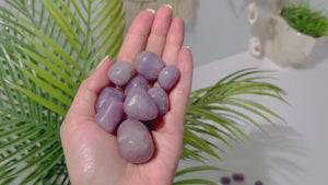 Lepidolite Tumbled Crystals: Lilac Lavender Healing Stones