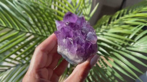 Amethyst Cluster, Rose Quartz & Clear Quartz Point Set