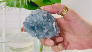 Raw Celestite Crystal Cluster: Madagascar Blue Healing Crystal