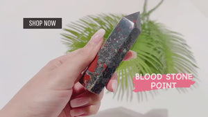 African Bloodstone Crystal Point Tower: Healing Stone