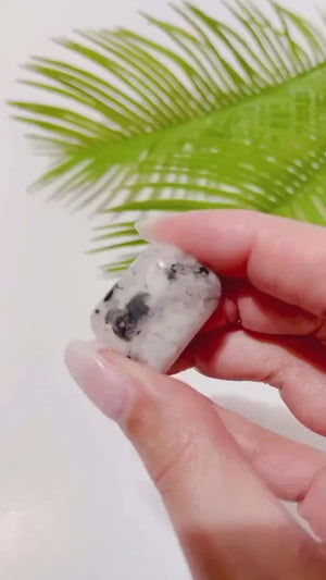 Fertility Crystal Kit: Lepidolite, Moonstone, Rose Quartz, Carnelian & Jade