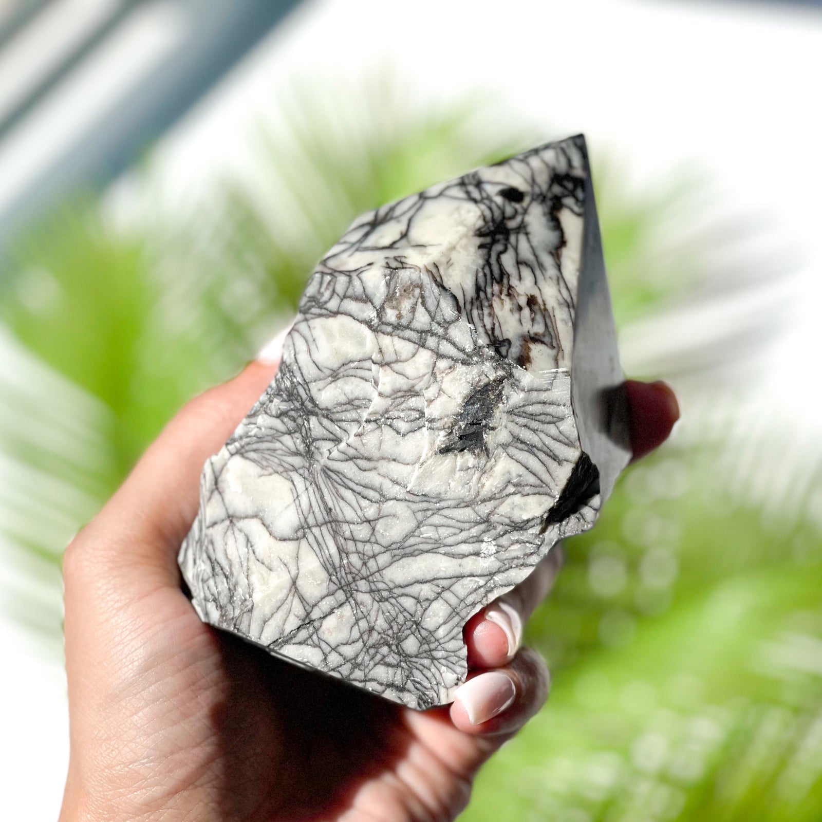 Picssso Jasper Top Polished Point