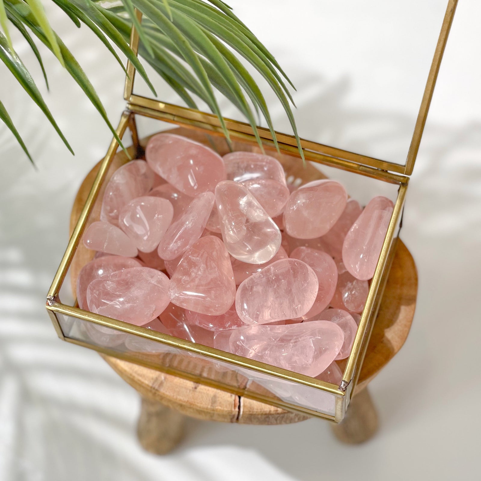 Rose Quartz Tumbled Stones