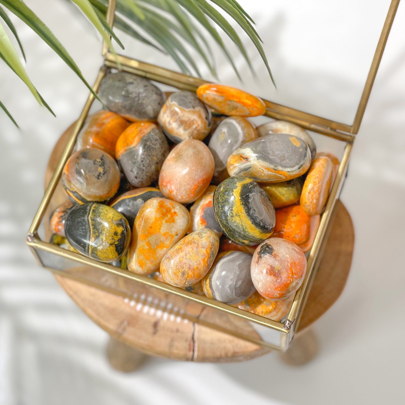 Bumble Bee Jasper Tumbled Stone