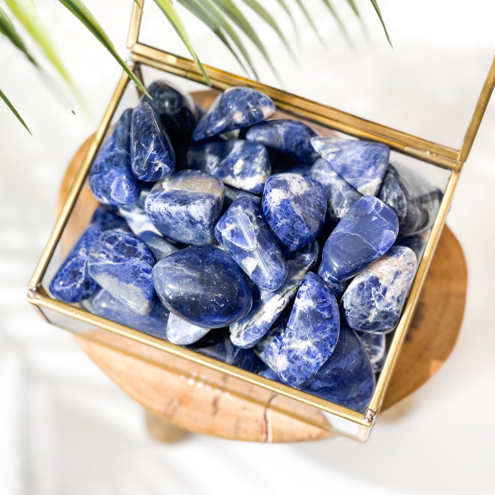 Sodalite Tumbled Stones