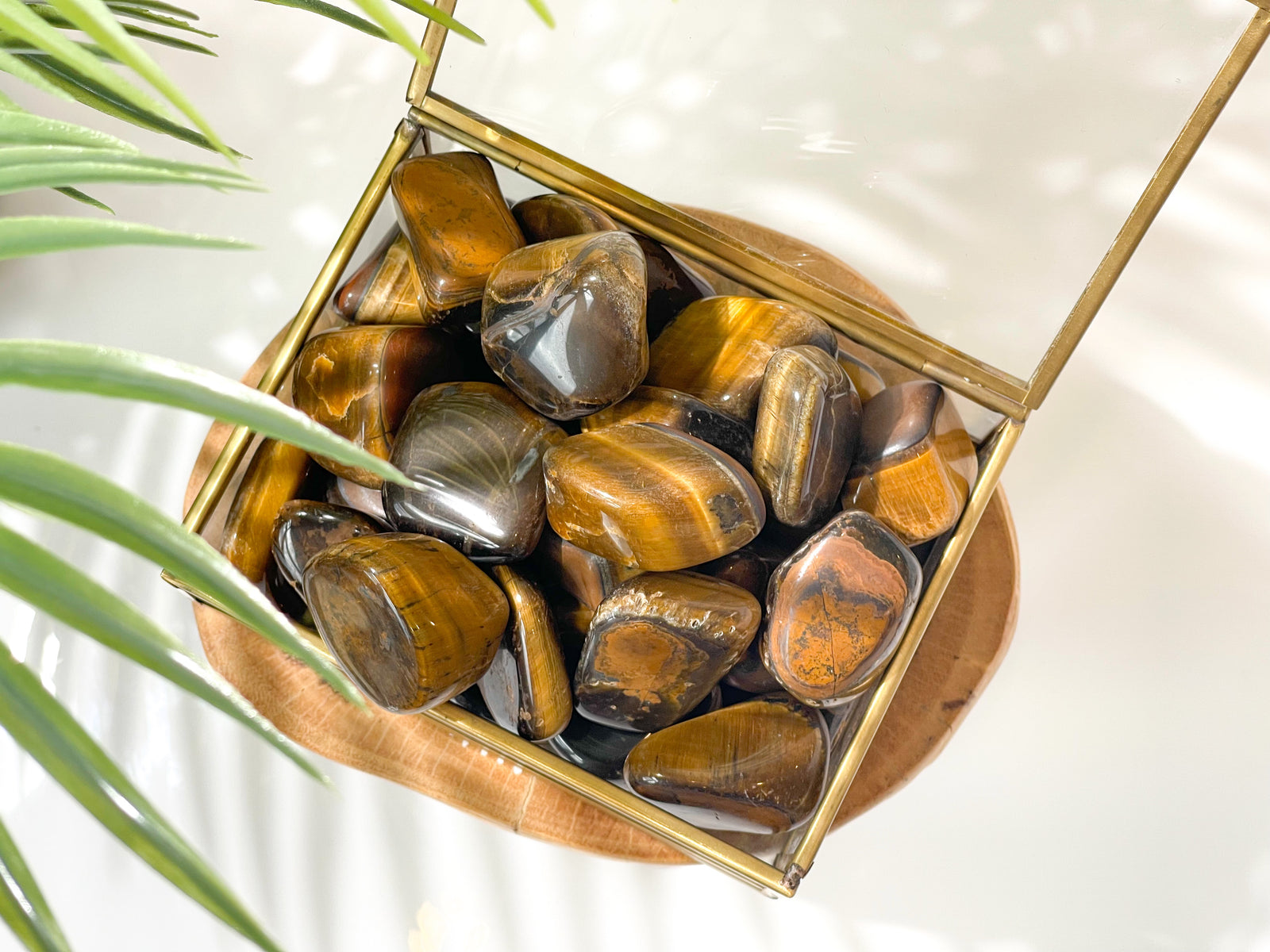 Tigers Eye Tumbled Stone