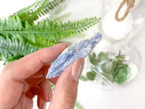 Blue Kyanite Raw Stone