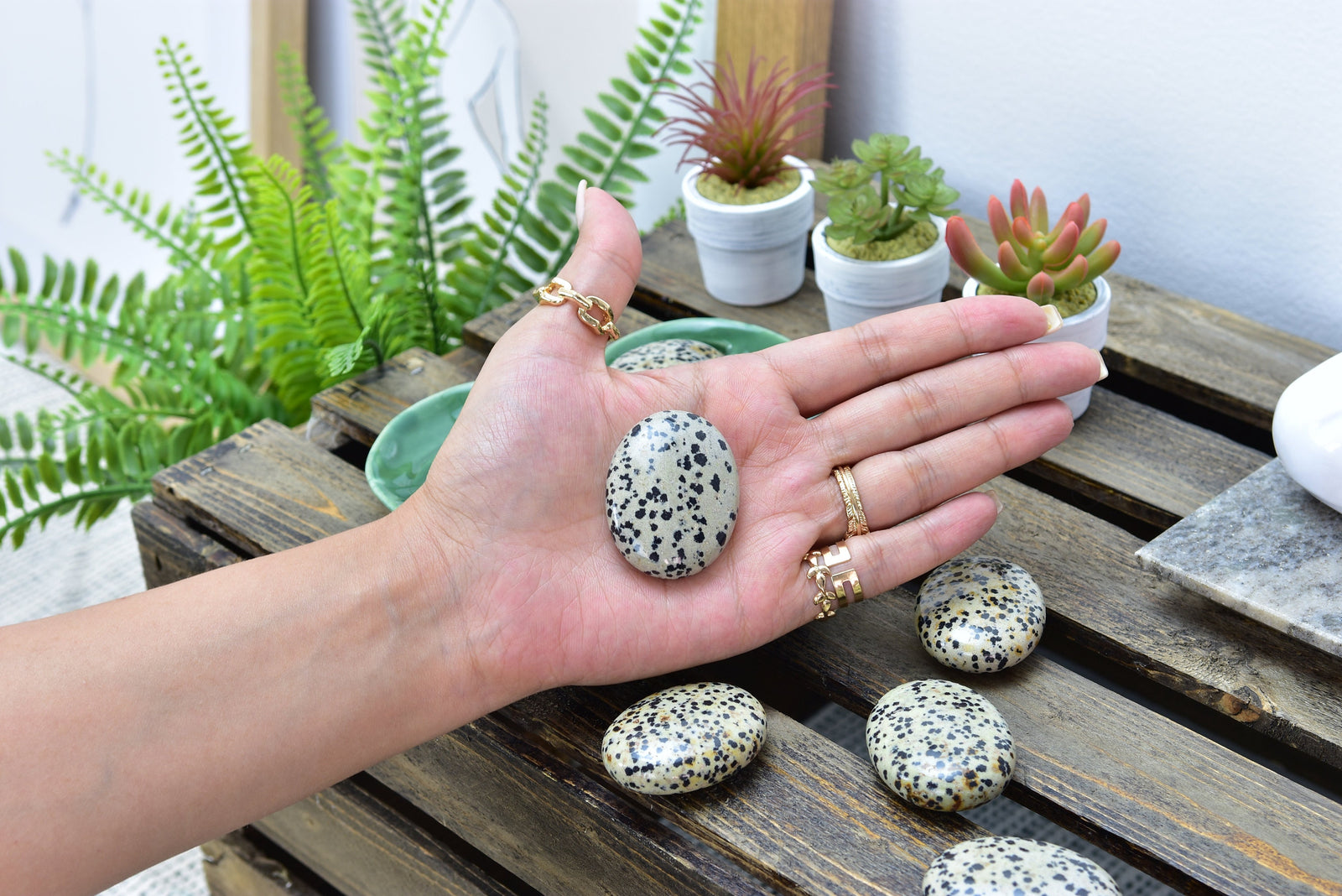 Dalmatian Jasper Palm Stone