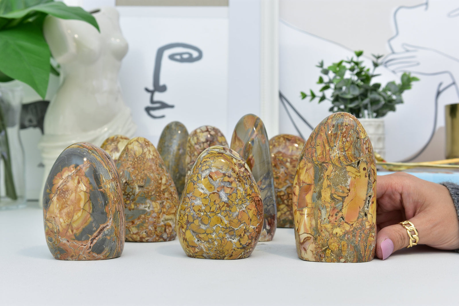 Ibis Jasper Freeform