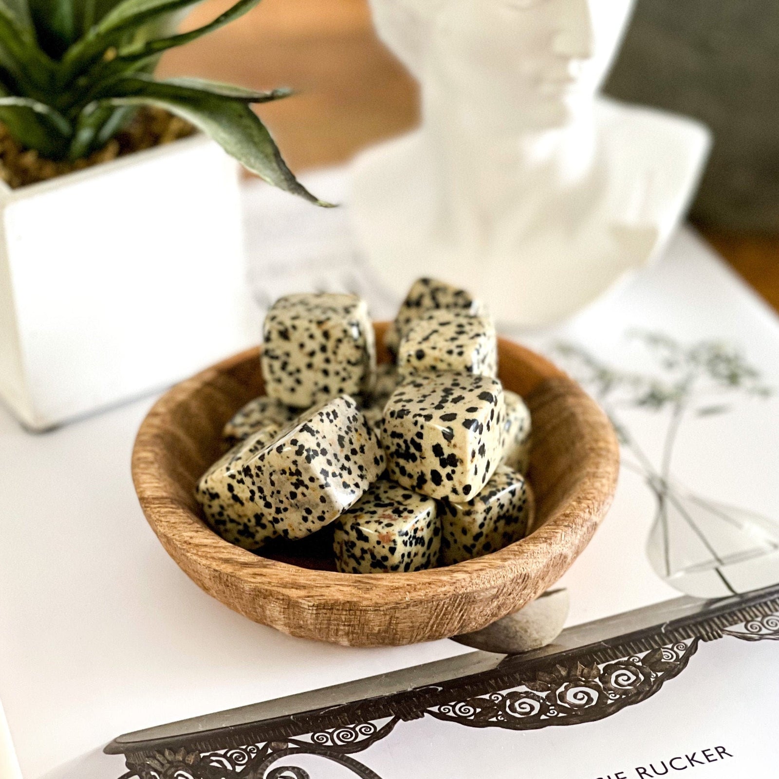 Dalmatian Jasper Cubes